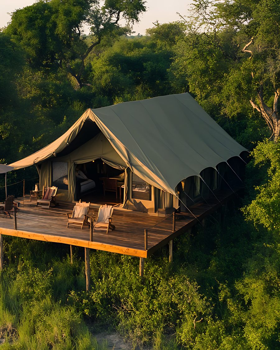 Lodge elevado estilo safári com deque de madeira cercado por vegetação densa ao entardecer